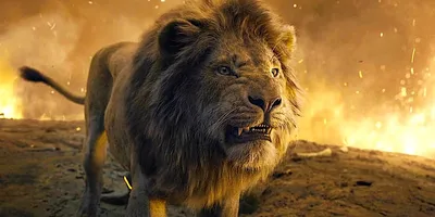 Disney выложил полный трейлер к фильму \"Король Лев\" – видео