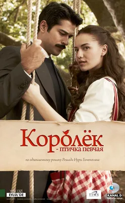 Королёк — птичка певчая (сериал, 1 сезон, все серии), 2013-2014 — описание,  интересные факты — Кинопоиск