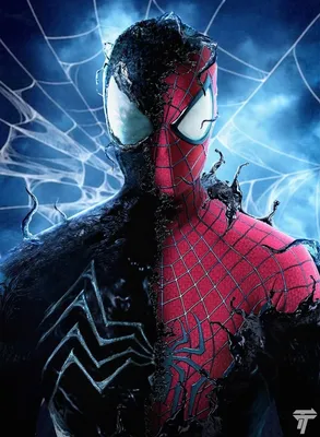 Новый Человек-паук 3D / The Amazing Spider-Man 3D (2012, фильм) - «Спустя  почти 10 лет я нашёл время и посмотрел этот фильм! Я В ПОЛНЕЙШЕМ УЛЁТЕ!!!»  | отзывы