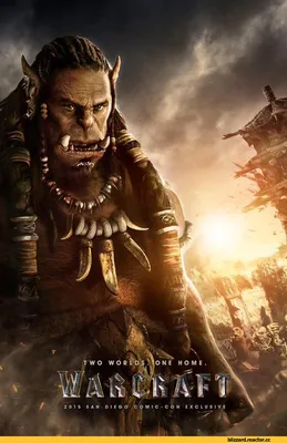 Warcraft (фильм) :: Warcraft (Варкрафт) :: Blizzard (Blizzard  Entertainment, Близзард) :: фэндомы :: Игры / картинки, гифки, прикольные  комиксы, интересные статьи по теме.