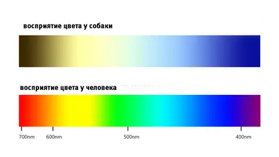 У меня есть импульсивная привычка придерживать дверь для людей, которые  идут позади меня. И, мне к / Привычка придерживать дверь :: Смешные комиксы  (веб-комиксы с юмором и их переводы) / смешные картинки