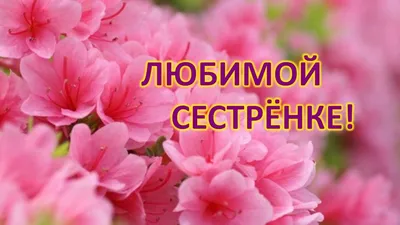 Открытка \"Любимой сестренке!\" розы, белый фон (10 шт) - РусЭкспресс