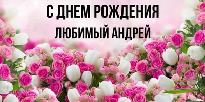 🎉 Сегодня 52 года исполнилось нашему всеми любимому Тише)) Тихонову Андрею  Валерьевичу! 😎 Выдающийся полузащитник.. | ВКонтакте