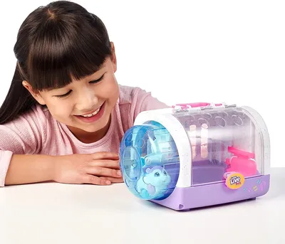 Купить ZhuZhu Pets Интерактивный хомяк хомячок День Рождения Пипскейк  Birthday Party Pipsqueak 4 Pet Hamster по отличной цене в киеве