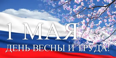 Мир-труд-май и планета на фоне цветов