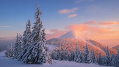 Скачать обои и картинки финляндия, зима, закат, водоём, озеро, снег, небо,  рассвет, деревья, природа, пейзаж для рабочего стола в разрешении 1366x768