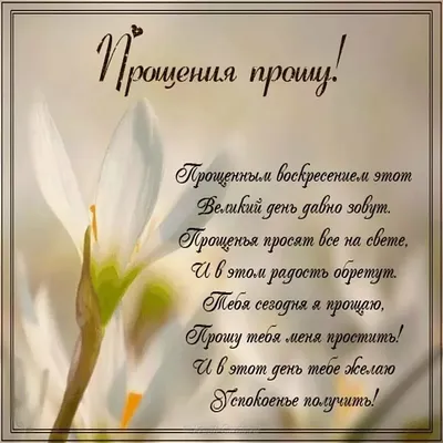 Консервированное Извинение Для Любимой - Как Попросить Прощения  (ID#1983677978), цена: 180 ₴, купить на Prom.ua