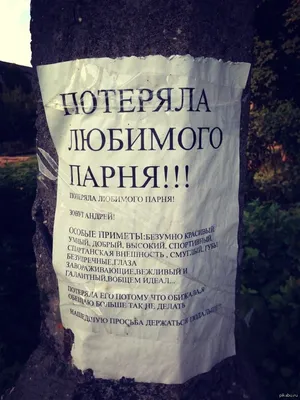 Цитаты о прощении (100 цитат) | Цитаты известных личностей