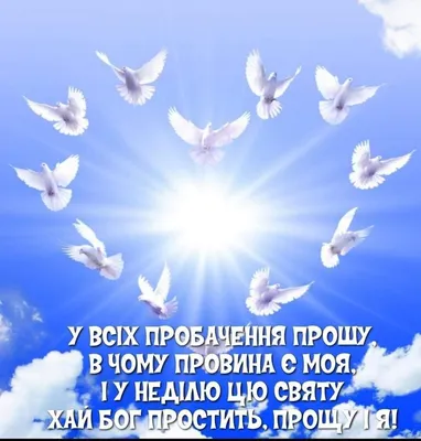 Измена. Цена прощения - БлогДана Блэк