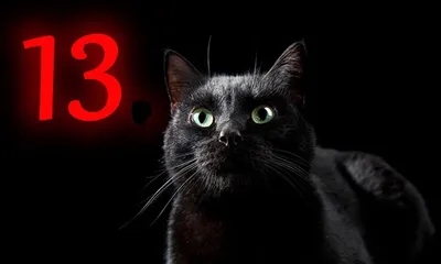 Юмор за день и пятница 13 | Mixnews