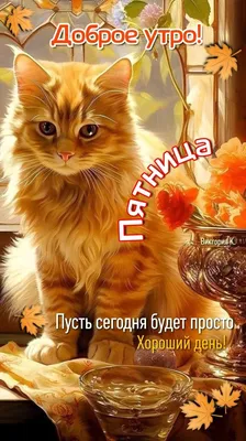 Доброе утро! Пятница. 🍁🌤️😺 | Счастливые картинки, Доброе утро,  Современная открытка