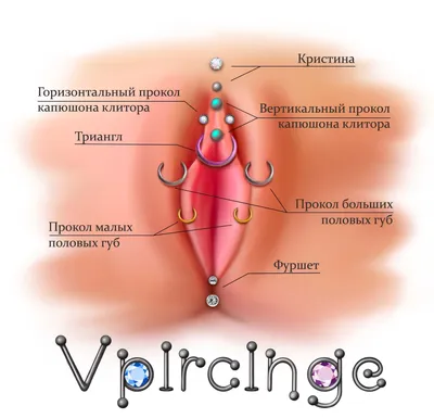 Липофилинг (увеличение) больших половых губ — Москва