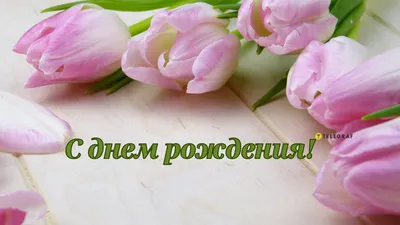 Поздравления с рождением дочери: своими словами, стихи, смс, картинки на  украинском языке — Украина