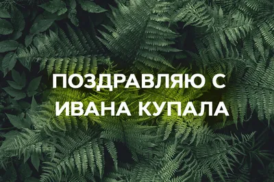 Ивана Купала 2023: как поздравить с праздником в стихах, прозе и открытках  | ВЕСТИ