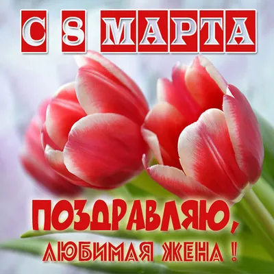 Поздравление любимой жене#8 марта поздравление жене#хочуврекомендации |  TikTok