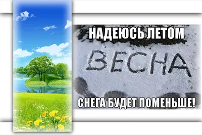 Актриса, исполнившая песню «Проснись и пой» в комедии «Джентльмены удачи».  Кто она и как сложилась ее судьба? | SEVENТест. | Дзен