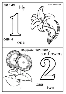 Раскраска цифра 5 🖼. Скачиваем и раскрашиваем бесплатно ❗