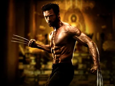 Обои Росомаха Кино Фильмы X-Men Origins: Wolverine, обои для рабочего  стола, фотографии росомаха, кино, фильмы, men, origins, wolverine, the,  люди, икс, логан, x-men Обои для рабочего стола, скачать обои картинки  заставки на