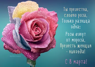 С ДНЁМ РОЖДЕНИЯ, МОЯ ЛЮБИМАЯ СЕСТРА 🌺 #поздравлениеотбрата #поздравле... |  TikTok