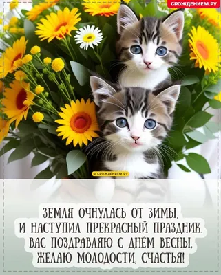 Котёнок, с 8 марта! - Скачайте на Davno.ru