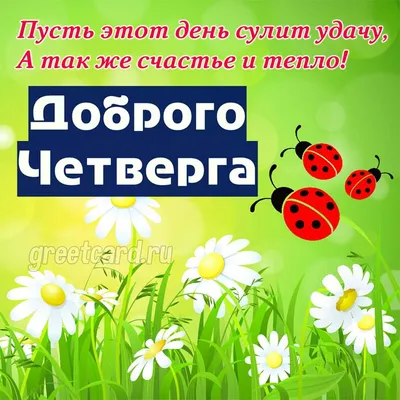 С Добрым Утром четверг) #доброеутро #хорошегодня #сдобрымутром #сзимни... |  TikTok