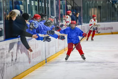 Поздравляем с Всероссийским днём хоккея! | 01.12.2023 | Новости Кондопоги -  БезФормата