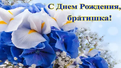 Поздравление с Днем рождения брату: своими словами, стихи для брата – Люкс  ФМ