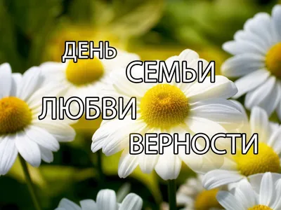 Празднуем День семьи, любви и верности: приятные сюрпризы для мужа и детей  - статьи в блоге