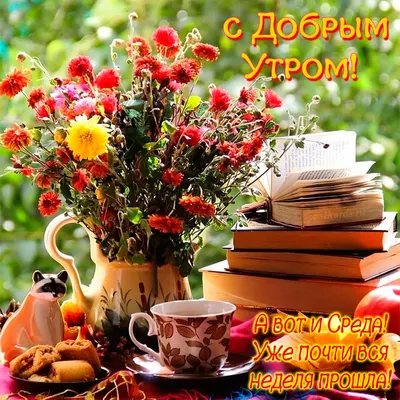 Доброй среды! - Женщина на миллион:все женские секреты. | Facebook