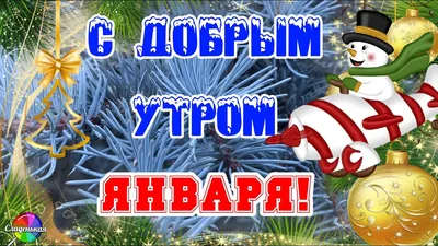 Юмор online - Доброго январского утра! 😃 | Facebook