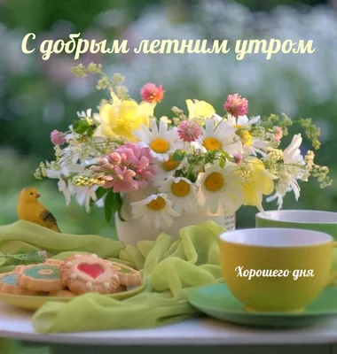 Открытка с добрым летним утром с пожеланиями — Slide-Life.ru