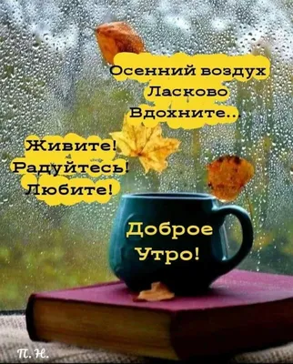 🍁С Добрым Осенним Утром!!!Доброе утро!🍂#доброеосеннееутро#сдобрымутр... |  TikTok