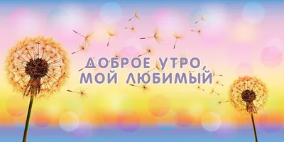 Картинки \"Доброго Утра!\" для любимого бесплатно (179 шт.)