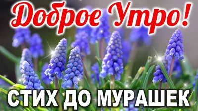 Дочка! С добрым утром! Красивая открытка для Дочки! Зелёный чай. Открытка с  чаем и кусочками вкусного шоколадного рулета.