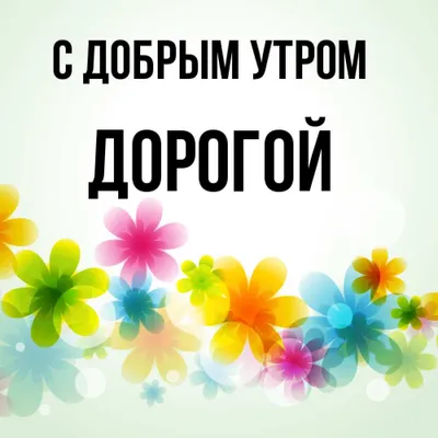 Красивые пожелания с добрым утром: стихи, проза, открытки - МЕТА