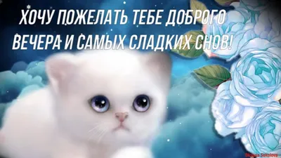 ДОБРОЕ УТРО! СПОКОЙНОЙ НОЧИ. КРАСИВЫЕ ПОЗДРАВЛЕНИЯ ДЛЯ ВАС!💌 | Facebook