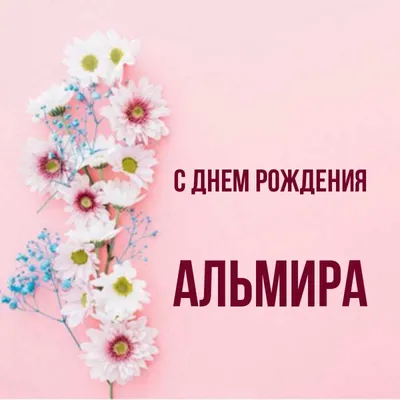 открытки с днем рождения альмира｜Поиск в TikTok