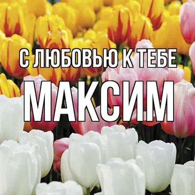 Именная линейка 15 см, с именем Максим (ID#1130992711), цена: 24 ₴, купить  на Prom.ua