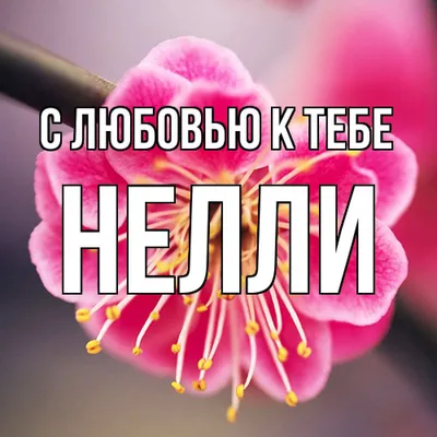 Картинки с именем нелли