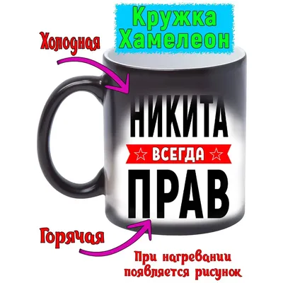 Кружка с именем Никита, Кружка Никита Всегда прав, хамелеон, 330 мл. |  AliExpress