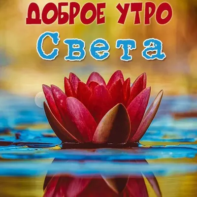 Картинки с именем Света (44 шт.)