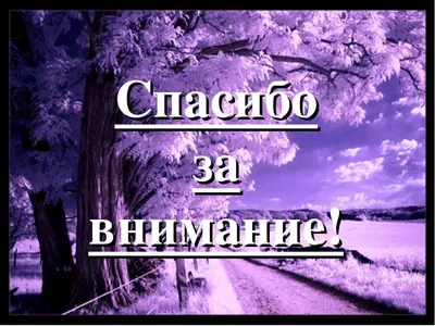 Спасибо за внимание!» или как «потопить» презентацию