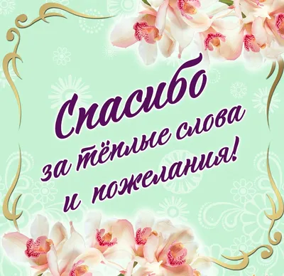 Анимация спасибо за внимание для презентации на прозрачном фоне - фото и  картинки abrakadabra.fun