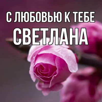 Открытка с именем Светлана С любовью к тебе. Открытки на каждый день с  именами и пожеланиями.