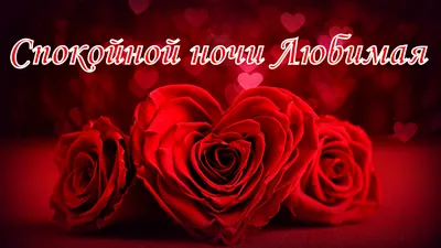 Спокойной ночи, любовь моя! ❤️🥰🌹 #спокойнойночи #спокойнойночилюбима... |  TikTok