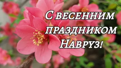 CLICK - С днем весеннего равноденствия!🌸 С праздником Навруз! ⠀ В этот  замечательный день хотим пожелать Вам всего самого доброго и светлого☀️  Пусть радостный смех и веселые песни всегда звучат в ваших