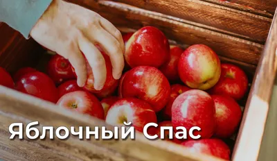 Что такое Тыквенный Спас и когда его отмечают в России - 25 октября 2023 -  76.ru