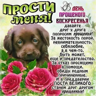 с прощенным воскресеньем