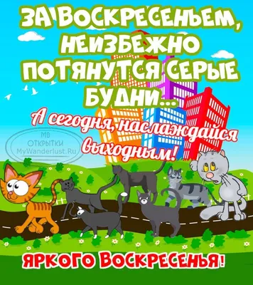 Картинки пожелания \"Хороших выходных!\" (255 шт.)