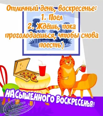 А выходные были? | Просто о сложном. О жизни. | Дзен